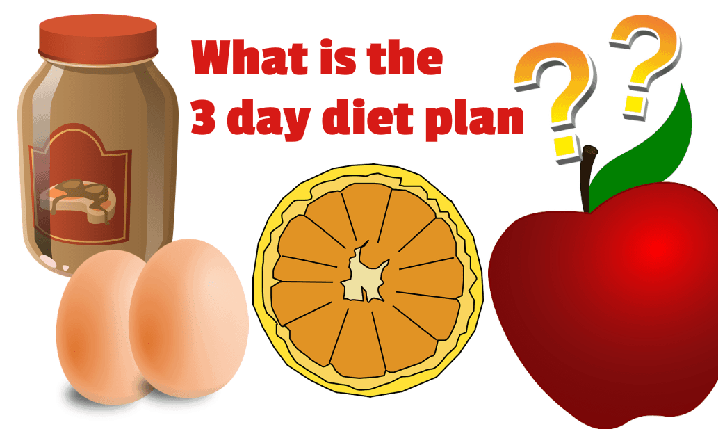 3 day diet image
